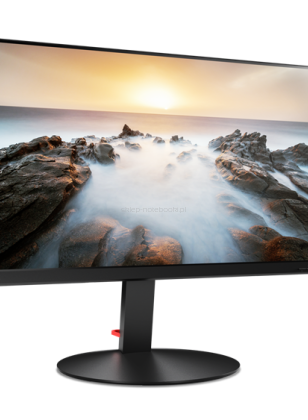 ThinkVision P