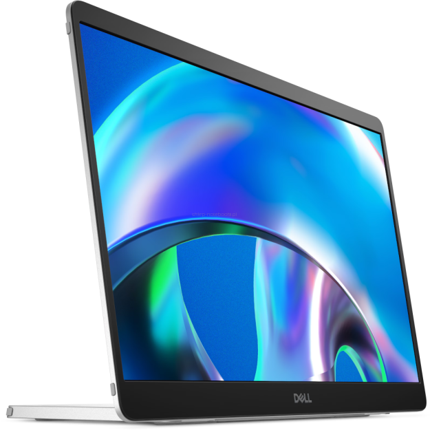 Dell Monitor Pro 14 Plus P1425 14