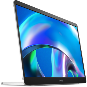 Dell Monitor Pro 14 Plus P1425 14" (210-BQTB)